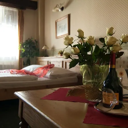 西里西亚咖啡酒店 4*