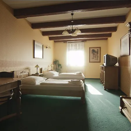 西里西亚咖啡酒店 4* Frýdek-Místek