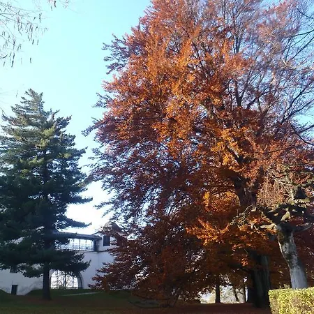 西里西亚咖啡酒店 酒店 Frýdek-Místek